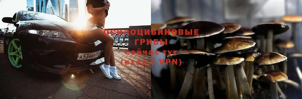 apvp Алзамай