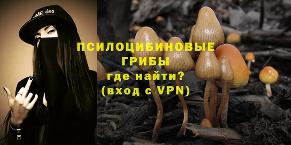 apvp Алзамай